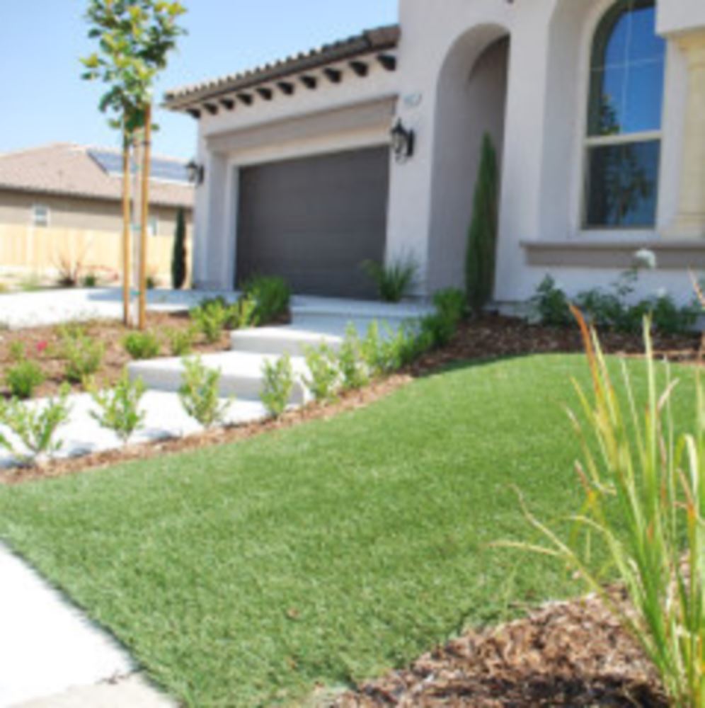 Why Fresno Homeowners Are Switching to Synthetic Grass